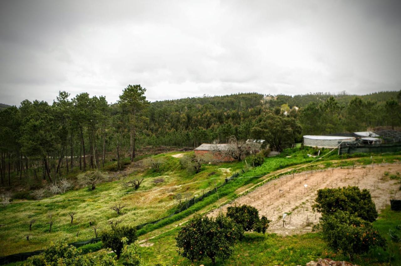 Quintinha Do Outeirinho Bed and Breakfast Soure Buitenkant foto